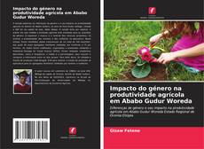 Capa do livro de Impacto do género na produtividade agrícola em Ababo Gudur Woreda 