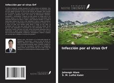Infección por el virus Orf kitap kapağı