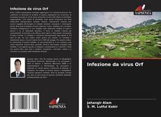 Infezione da virus Orf kitap kapağı