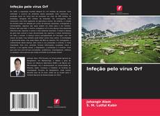 Capa do livro de Infeção pelo vírus Orf 