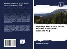 Пример леса Коло Хиллс Оценка пилотного проекта Авф kitap kapağı