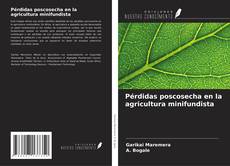 Borítókép a  Pérdidas poscosecha en la agricultura minifundista - hoz