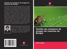 Copertina di Gestão do complexo de pragas de insectos da Brinjal