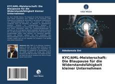 Buchcover von KYC/AML-Meisterschaft: Die Blaupause für die Widerstandsfähigkeit kleiner Unternehmen