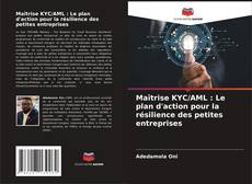 Maîtrise KYC/AML : Le plan d'action pour la résilience des petites entreprises kitap kapağı