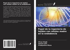 Buchcover von Papel de la ingeniería de tejidos con células madre en la endodoncia