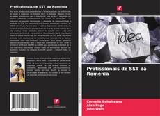 Profissionais de SST da Roménia kitap kapağı