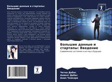 Couverture de Большие данные и стартапы: Введение