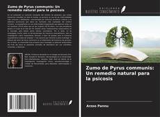 Bookcover of Zumo de Pyrus communis: Un remedio natural para la psicosis