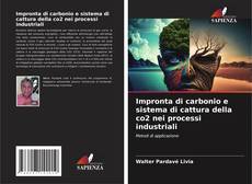 Bookcover of Impronta di carbonio e sistema di cattura della co2 nei processi industriali