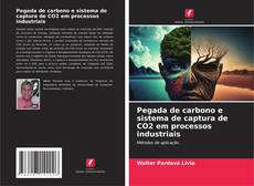 Copertina di Pegada de carbono e sistema de captura de CO2 em processos industriais