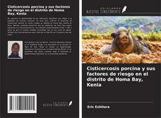 Portada del libro de Cisticercosis porcina y sus factores de riesgo en el distrito de Homa Bay, Kenia