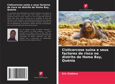 Capa do livro de Cisticercose suína e seus factores de risco no distrito de Homa Bay, Quénia 