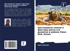 Capa do livro de Цистицеркоз свиней и факторы риска его развития в районе Хома-Бей, Кения 