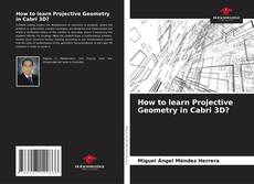 Copertina di How to learn Projective Geometry in Cabri 3D?