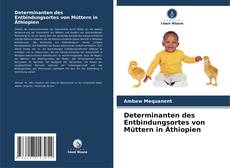 Обложка Determinanten des Entbindungsortes von Müttern in Äthiopien