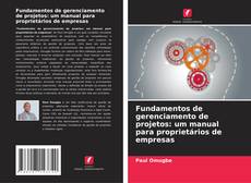 Bookcover of Fundamentos de gerenciamento de projetos: um manual para proprietários de empresas