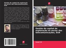 Bookcover of Gestão do capital de exploração no sector das telecomunicações, EUA