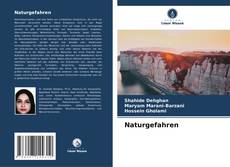 Buchcover von Naturgefahren