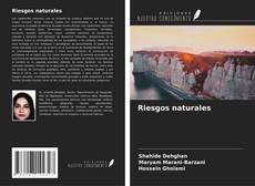 Buchcover von Riesgos naturales