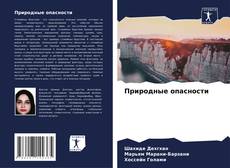 Bookcover of Природные опасности