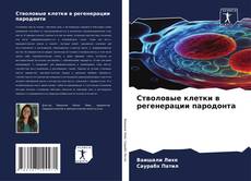 Buchcover von Стволовые клетки в регенерации пародонта
