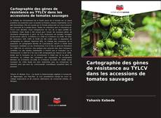 Capa do livro de Cartographie des gènes de résistance au TYLCV dans les accessions de tomates sauvages 