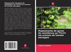 Capa do livro de Mapeamento de genes de resistência ao TYLCV em acessos de tomate selvagem 