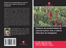 Capa do livro de Melhoria da produtividade da cana-de-açúcar com a cultura intercalar de malagueta 