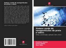 Bookcover of Síntese verde de nanopartículas de prata e cobre: