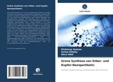 Portada del libro de Grüne Synthese von Silber- und Kupfer-Nanopartikeln: