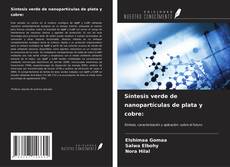 Síntesis verde de nanopartículas de plata y cobre: kitap kapağı