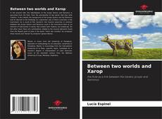 Between two worlds and Xarop kitap kapağı