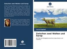 Portada del libro de Zwischen zwei Welten und Xarop