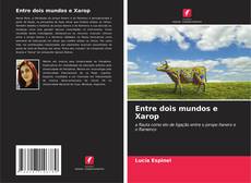 Buchcover von Entre dois mundos e Xarop