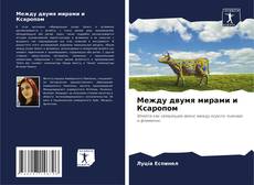 Buchcover von Между двумя мирами и Ксаропом