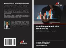 Capa do livro de Nanoidrogel e micelle polimeriche 