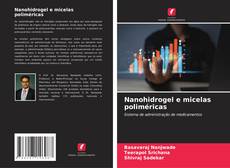Nanohidrogel e micelas poliméricas kitap kapağı