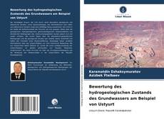 Bewertung des hydrogeologischen Zustands des Grundwassers am Beispiel von Ustyurt kitap kapağı