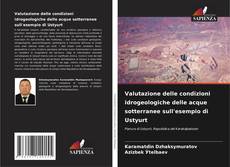 Обложка Valutazione delle condizioni idrogeologiche delle acque sotterranee sull'esempio di Ustyurt