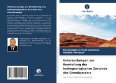 Portada del libro de Untersuchungen zur Beurteilung des hydrogeologischen Zustands des Grundwassers