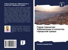 Capa do livro de Город Сринагар: Урбанизация и качество городской среды 