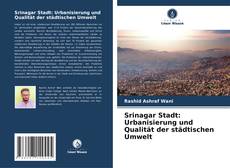 Bookcover of Srinagar Stadt: Urbanisierung und Qualität der städtischen Umwelt