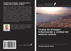 Capa do livro de Ciudad de Srinagar: Urbanización y calidad del entorno urbano 
