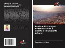 Copertina di La città di Srinagar: Urbanizzazione e qualità dell'ambiente urbano