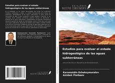 Buchcover von Estudios para evaluar el estado hidrogeológico de las aguas subterráneas