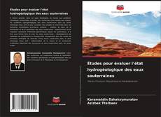 Buchcover von Études pour évaluer l’état hydrogéologique des eaux souterraines