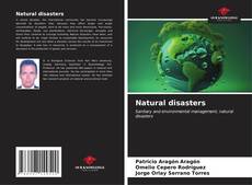 Обложка Natural disasters