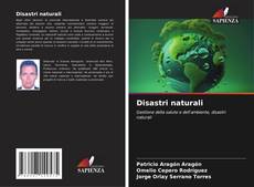 Disastri naturali kitap kapağı