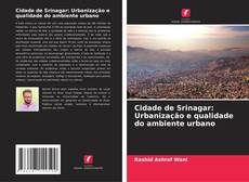 Bookcover of Cidade de Srinagar: Urbanização e qualidade do ambiente urbano